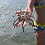 Picture 056